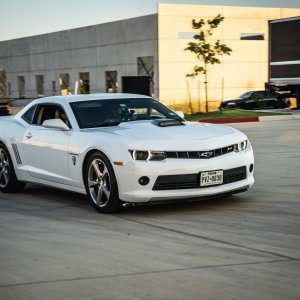 BAM_MM-18.jpg