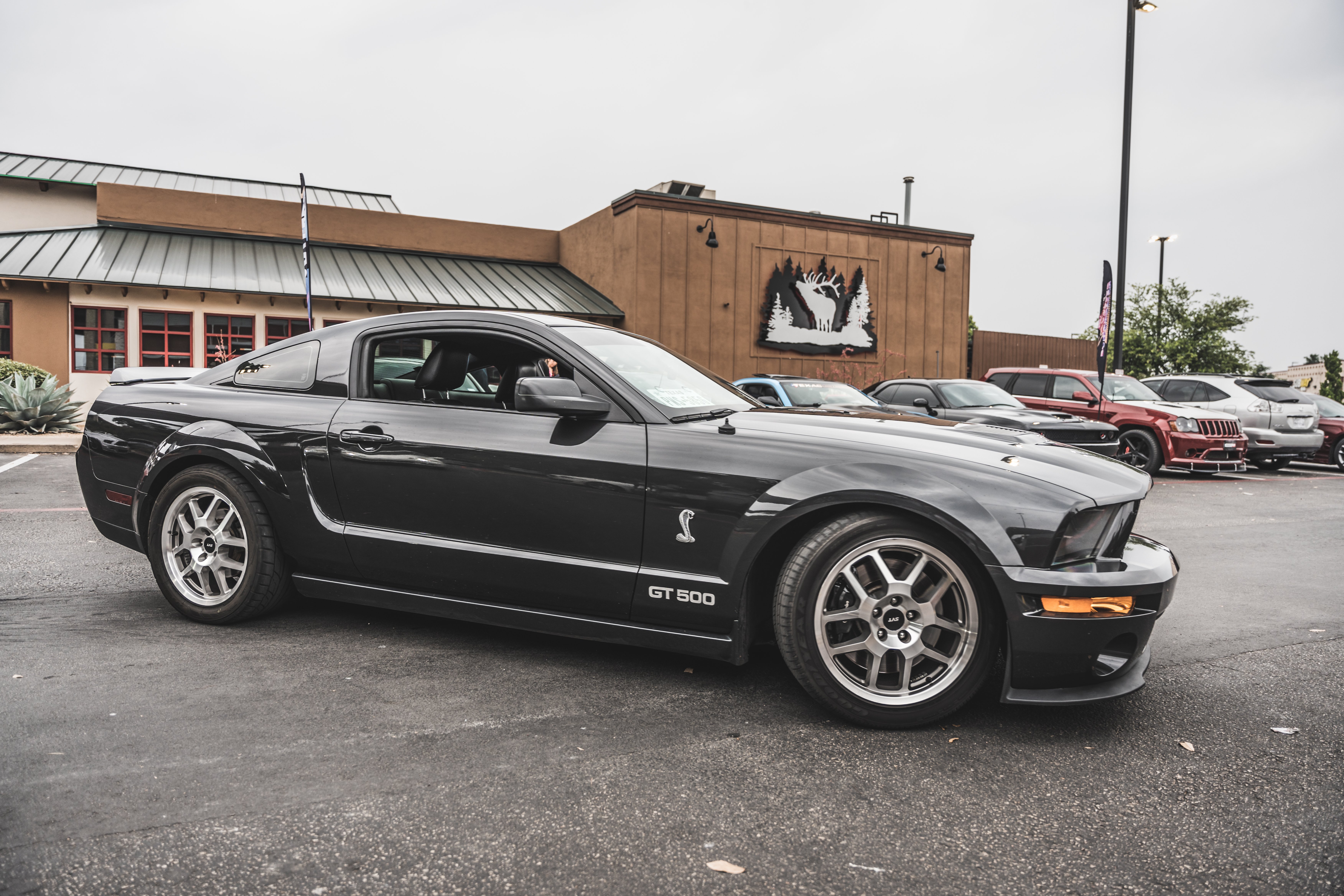 bam_tp_6132023-39.jpg