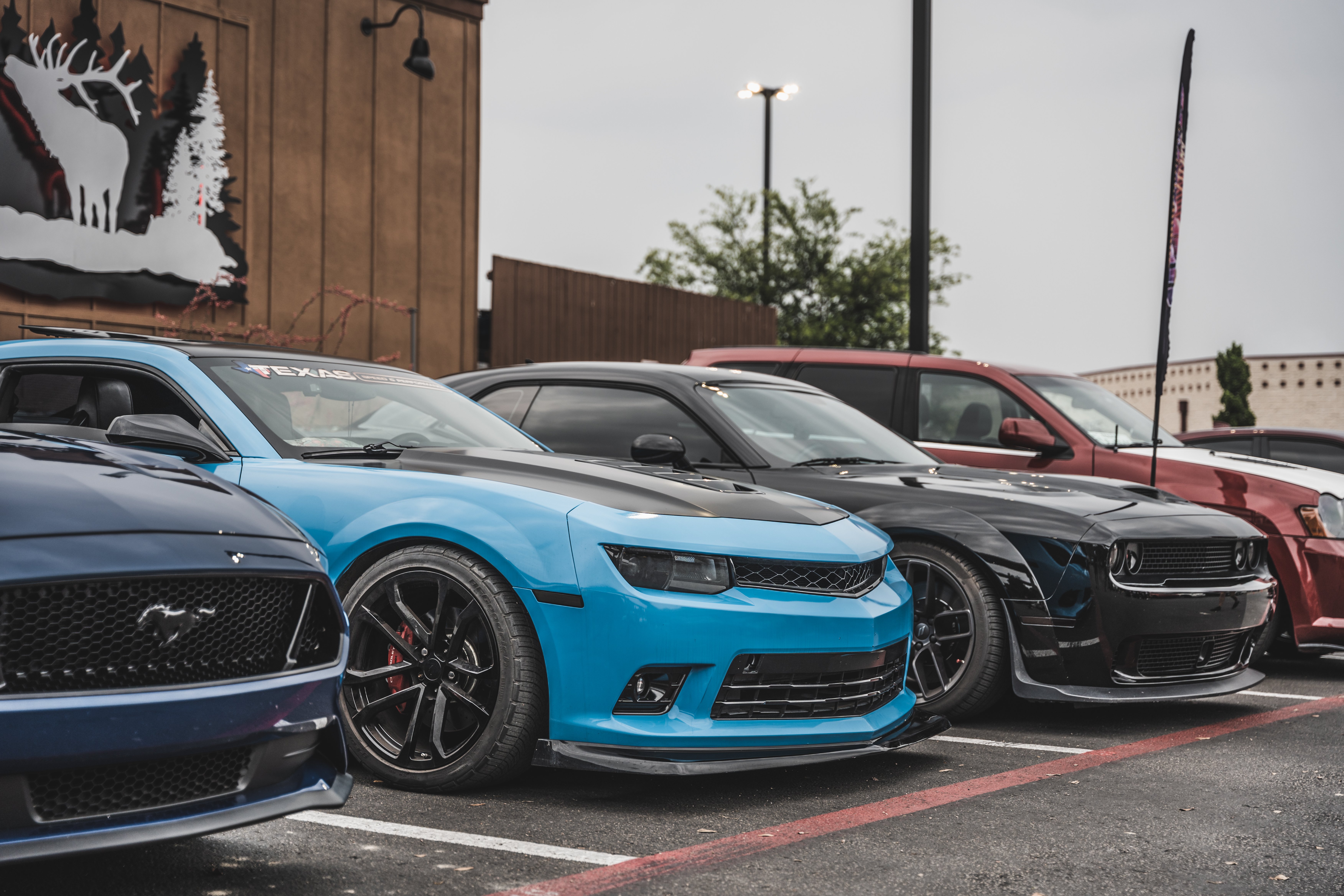 bam_tp_6132023-45.jpg