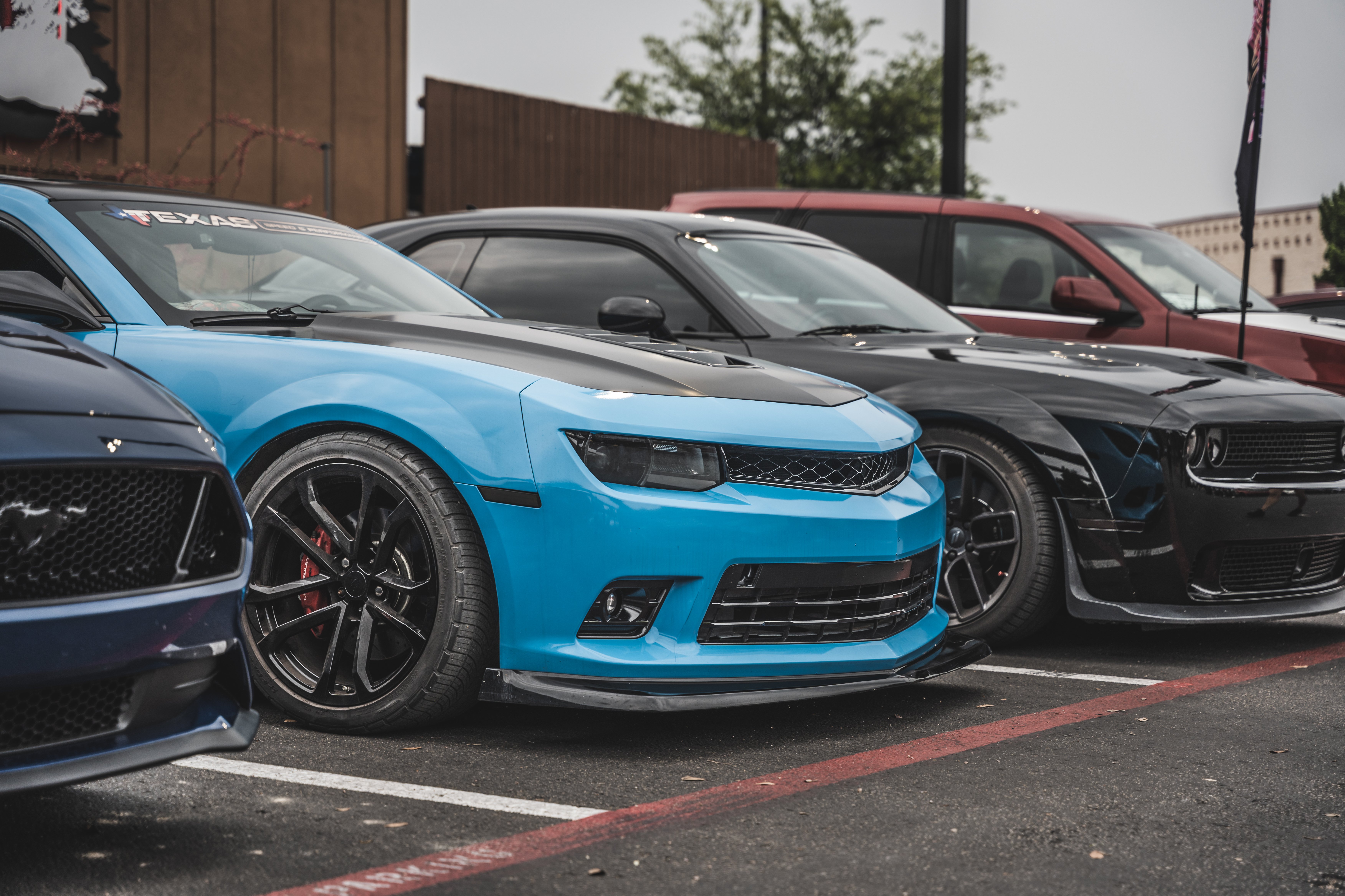 bam_tp_6132023-46.jpg