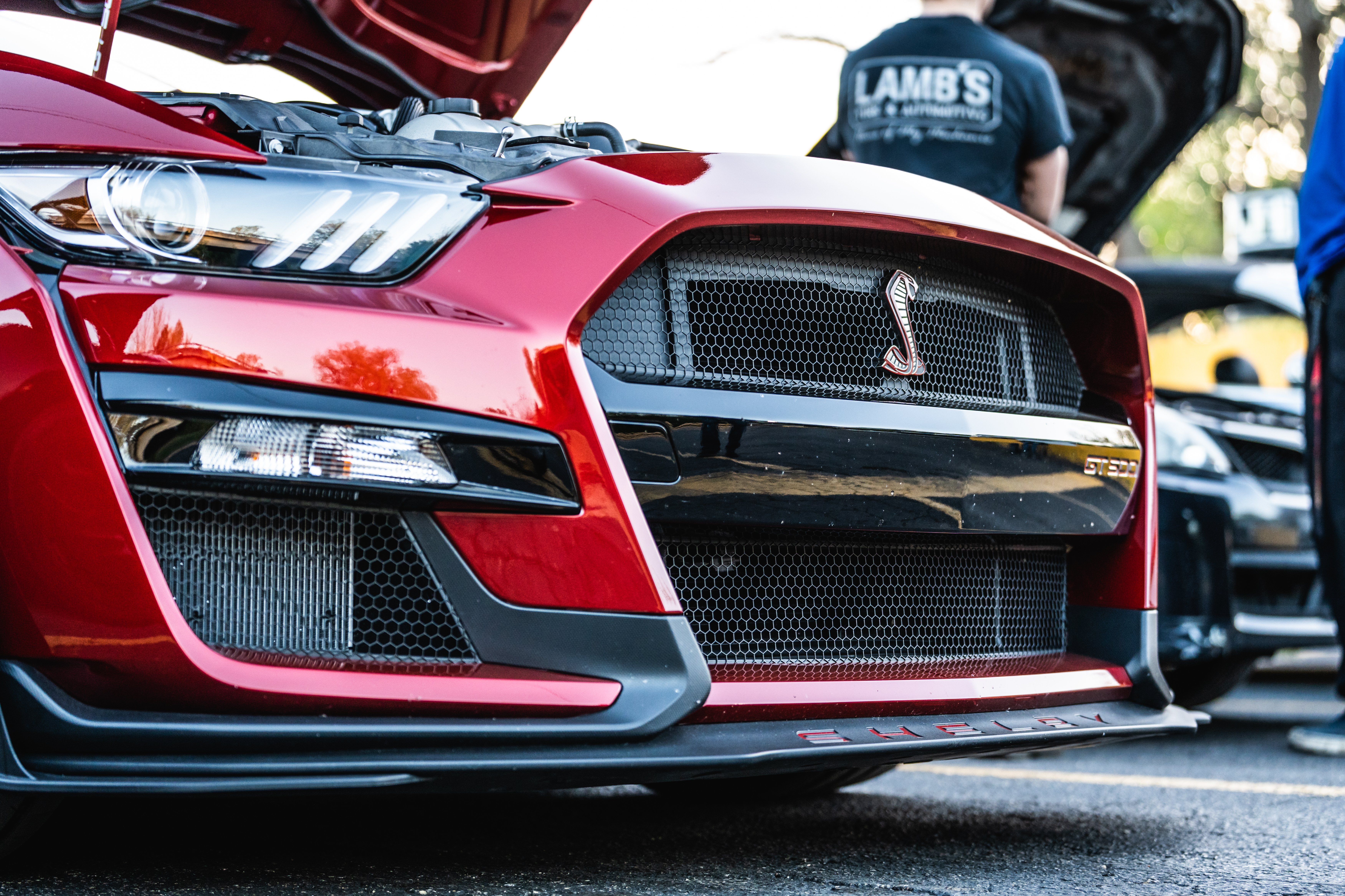 BAMDRAG-5.jpg