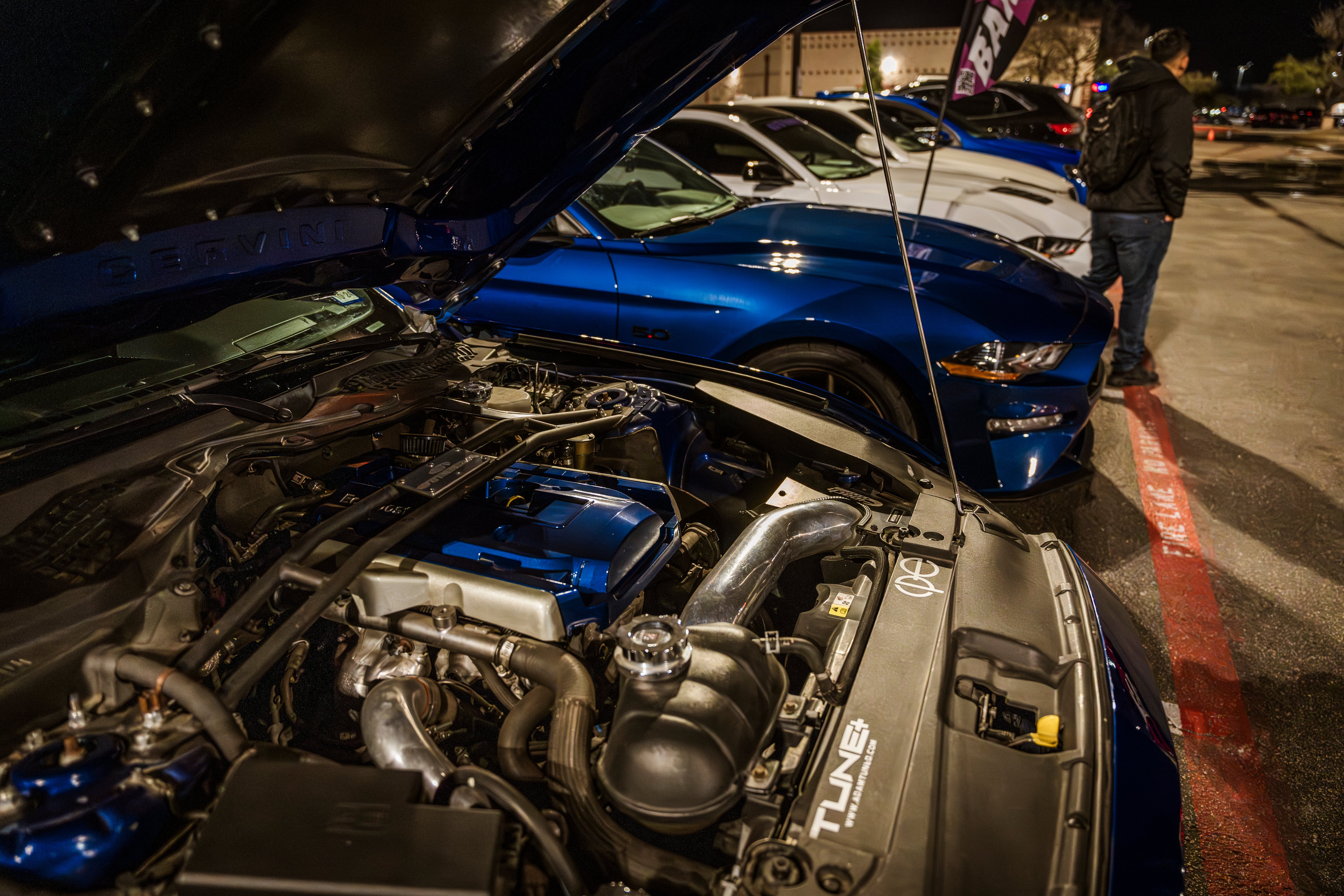 BAMTP_262024-8.jpg
