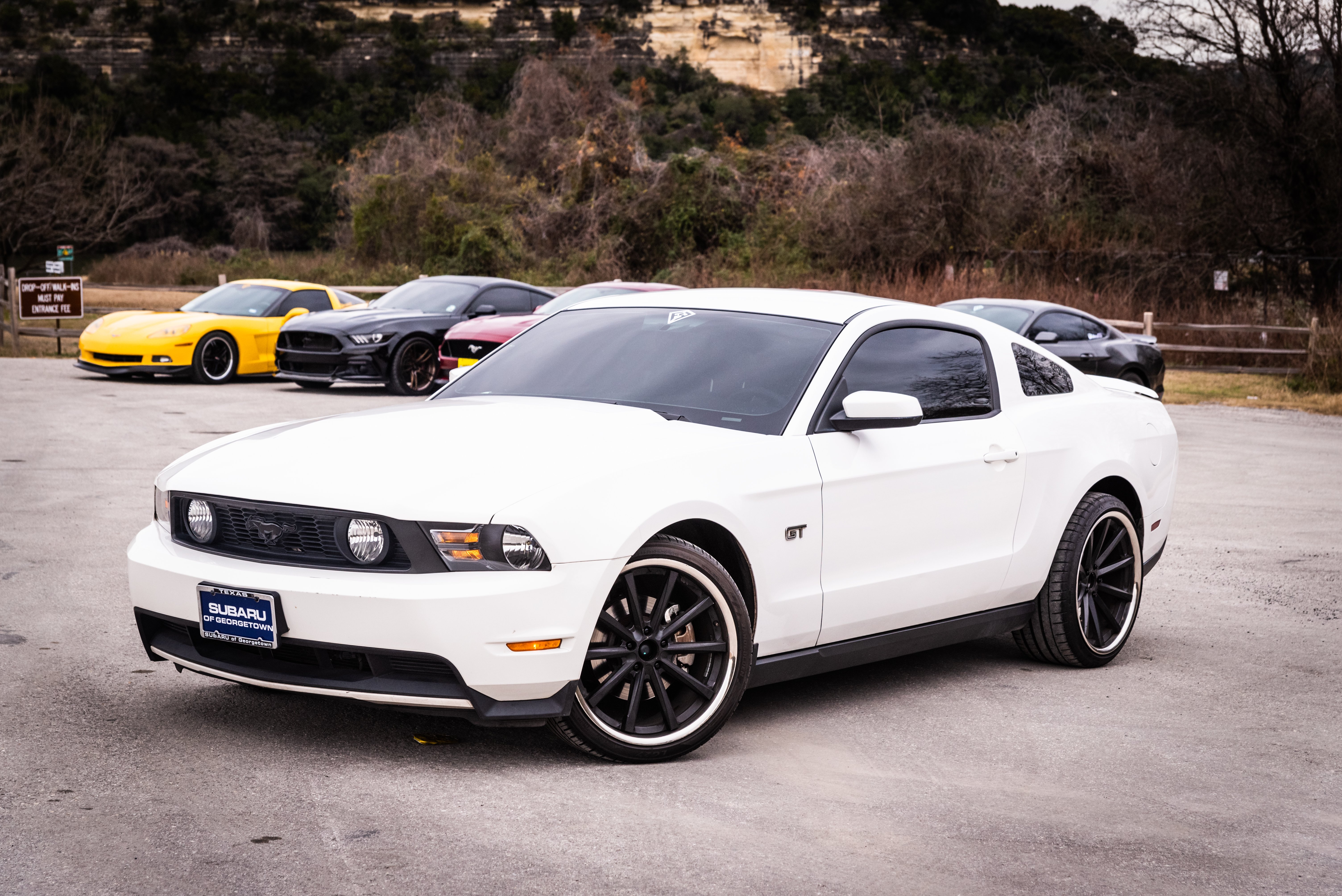 CarsNCoffeeFF-77.jpg